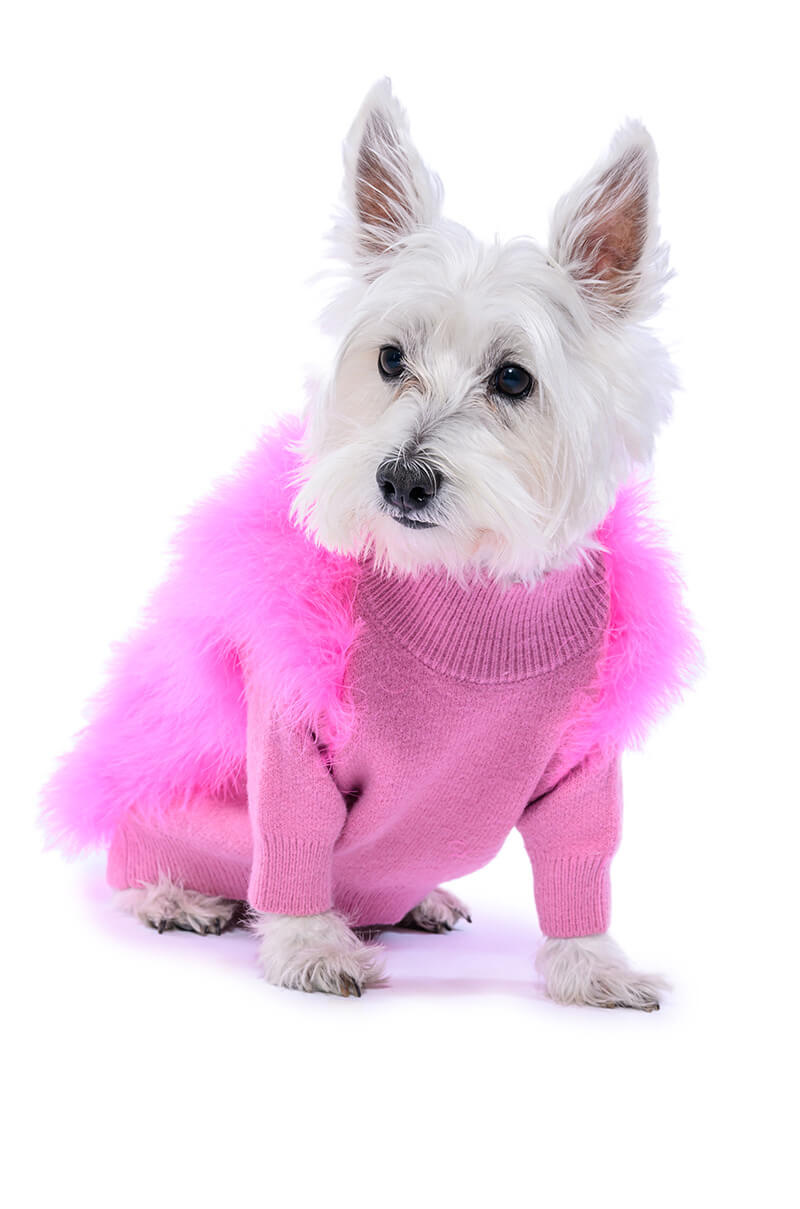 QUINN FEATHER DOGGY SWEATER