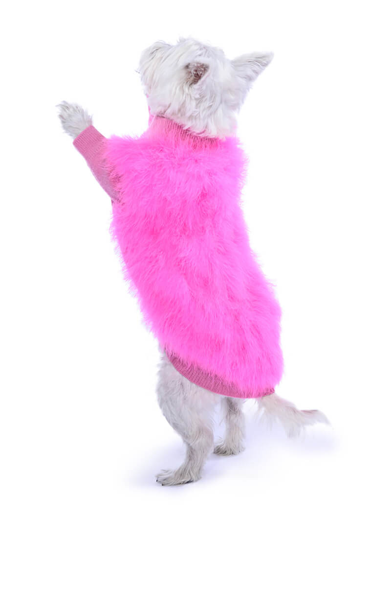 QUINN FEATHER DOGGY SWEATER